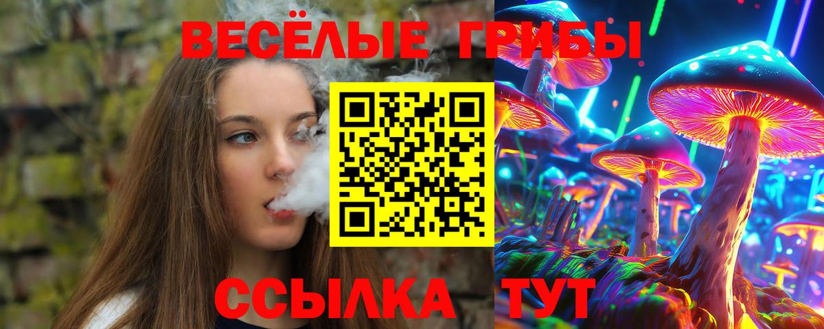 Галлюциногенные грибы Magic Shrooms  Вход с VPN  Томск 
